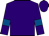 titleIcon