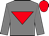titleIcon