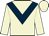 titleIcon