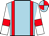 titleIcon