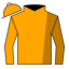 titleIcon