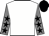titleIcon