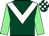 titleIcon