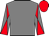 titleIcon